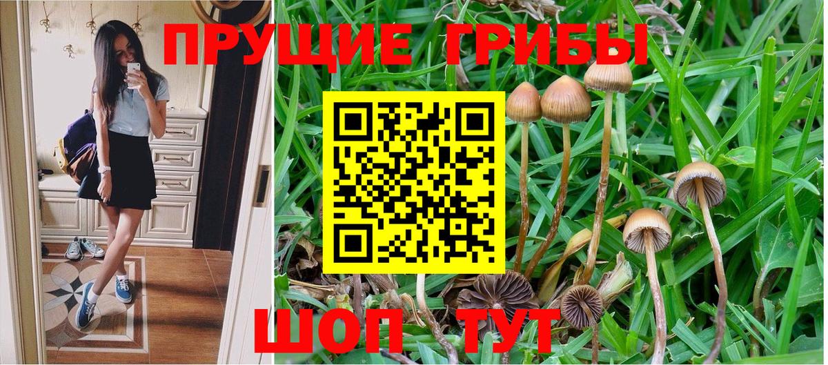 Ростов-на-Дону  Псилоцибиновые грибы MAGIC MUSHROOMS  Вход с VPN 