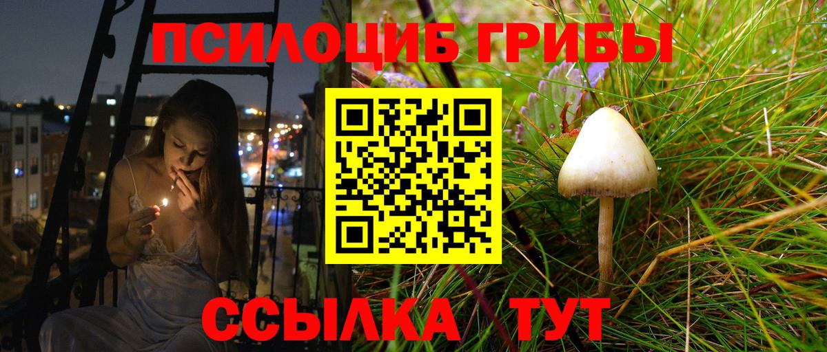Псилоцибиновые грибы Psilocybine cubensis Ростов-на-Дону
